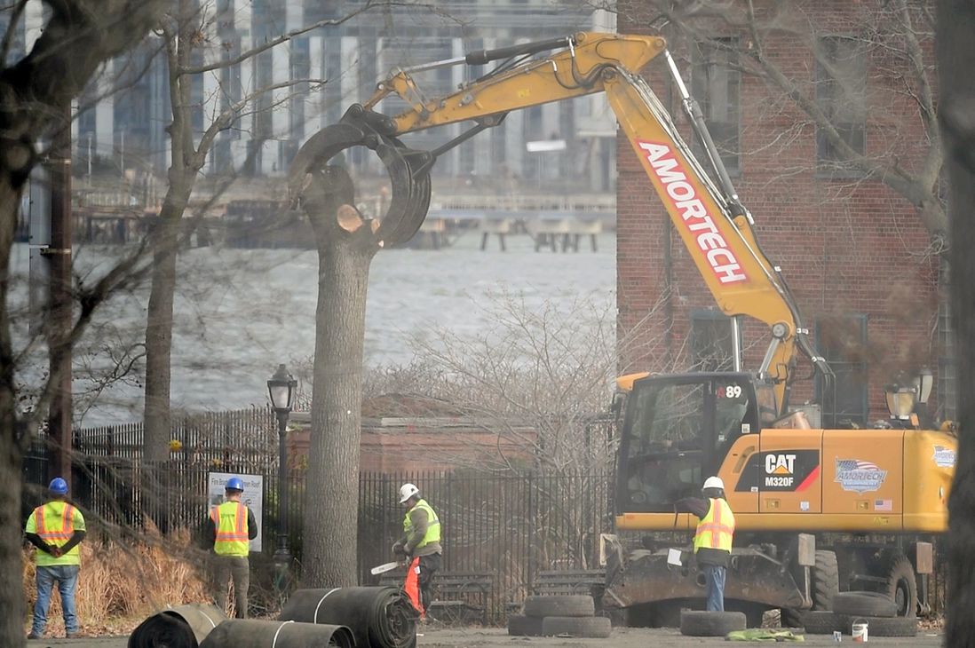 Workers removing the trunk of a tree, using an excavator, in the southern section of East River Park.